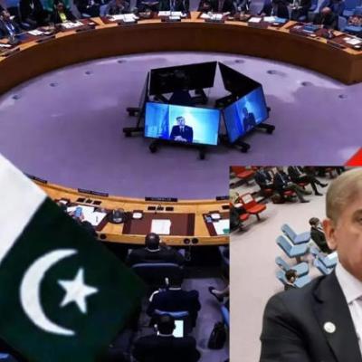 बिल्ली से दूध की रखवाली करा रहा है UNSC? पाकिस्तान को मिली इस जिम्मेदारी से भारत की बेचैनी बढ़ना लाजमी