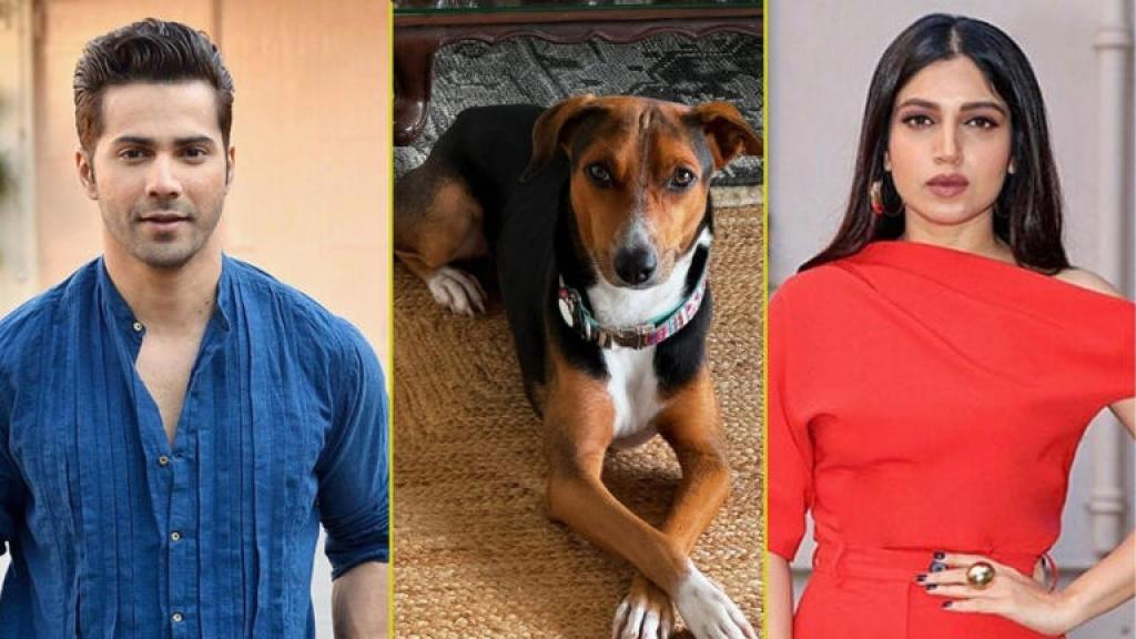 जबड़ा उखड़ गया था…अवारा कुत्तों को हटाने के कोर्ट के फैसले पर भूमि पेडनेकर ने उठाई आवाज, सपोर्ट में आए ये सितारे