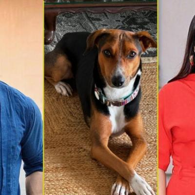 जबड़ा उखड़ गया था…अवारा कुत्तों को हटाने के कोर्ट के फैसले पर भूमि पेडनेकर ने उठाई आवाज, सपोर्ट में आए ये सितारे