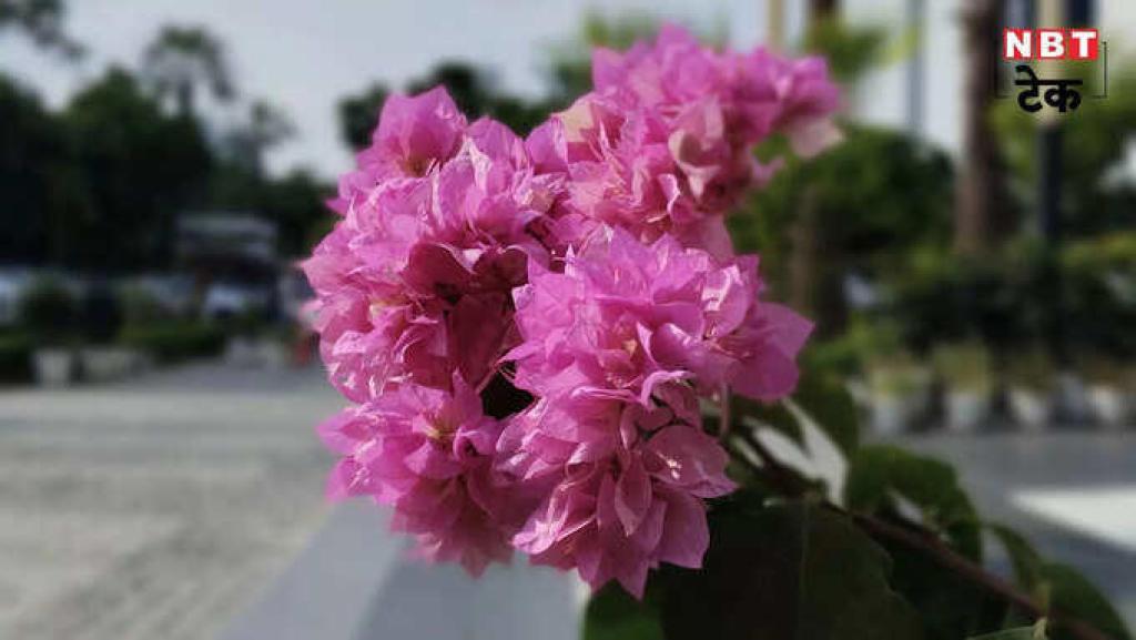 सिंपल डिजाइन और अच्छी बैटरी लाइफ से दम द‍िखाता Lava Blaze Dragon 5G लेक‍िन फैंसी फीचर्स की कमी