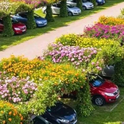 जापान में दिखी गजब की कार पार्किंग, वायरल हुई तस्वीर, हर्ष गोयनका ने की जमकर तारीफ
