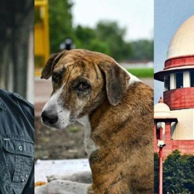 कुत्तों को 'धरती का भगवान' कह चुके जॉन अब्राहम का CJI को भावुक लेटर