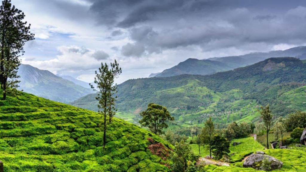 Monsoon tourism : देश में मॉनसून टूरिज्म का चलन, युवाओं में 'रेनस्केप' का बढ़ता क्रेज