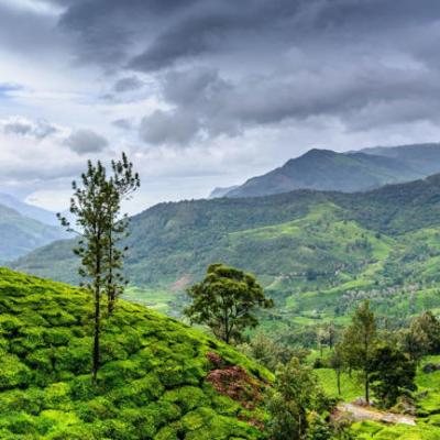 Monsoon tourism : देश में मॉनसून टूरिज्म का चलन, युवाओं में 'रेनस्केप' का बढ़ता क्रेज