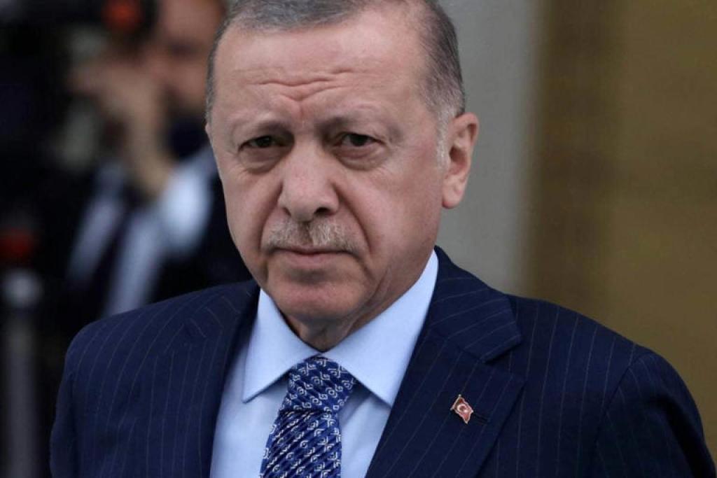 पाकिस्तान से हमदर्दी की कीमत चुकाने लगा तुर्की, घर में ही खाने लगा मात