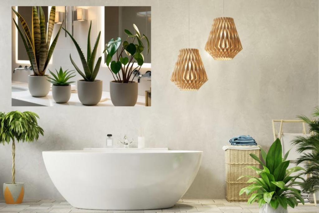 बाथरूम को बनाएं मिनी स्पा, इन 5 पौधों से बनेगा एकदम खूबसूरत